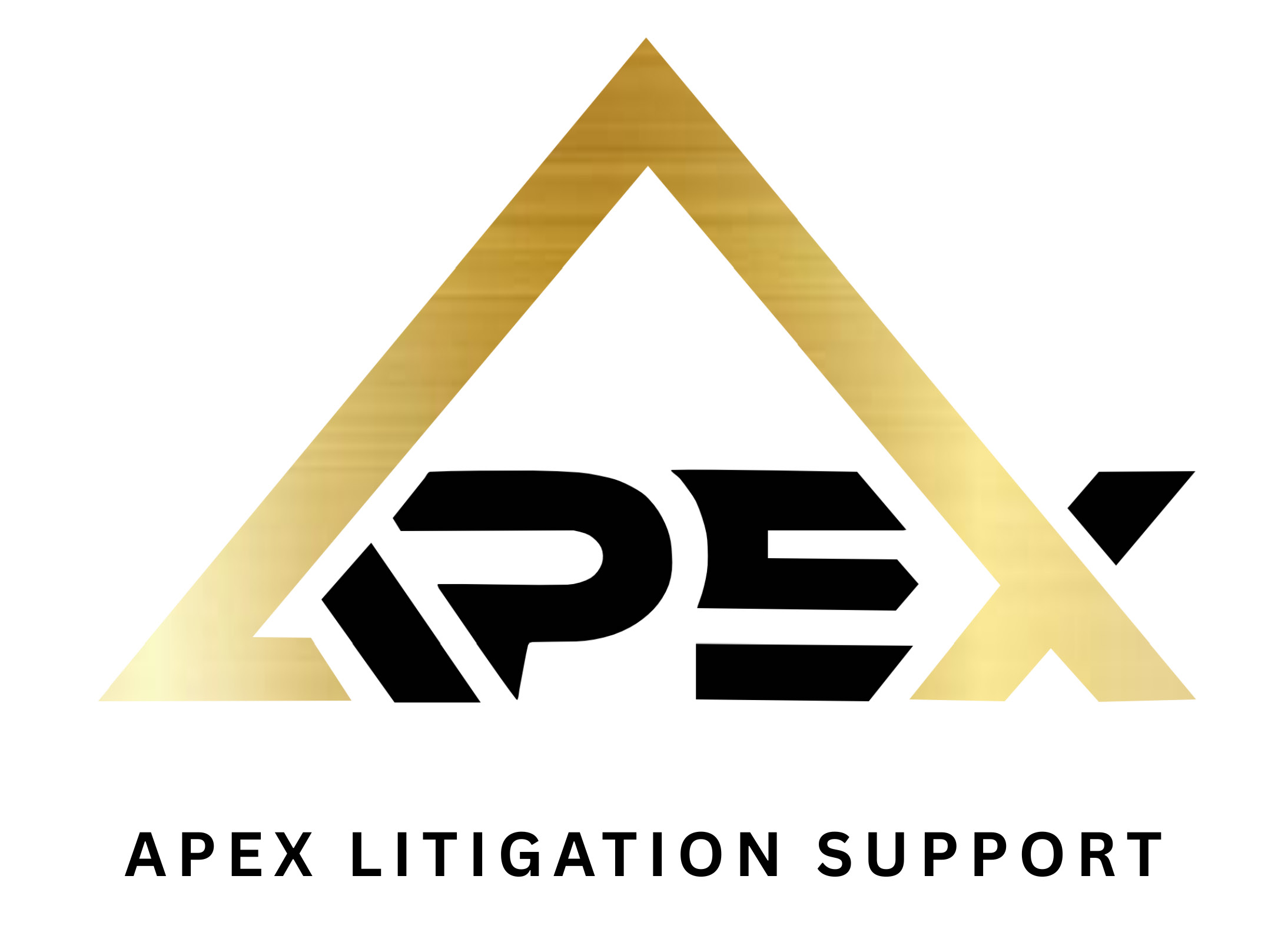 Apex Litigation Support Provider